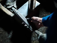 Damastmesser Sashimi 270, Silver Steel Damastmesser Sashimi 270, Silver Steel -Einrichtungsgeschäft damastmesser sashimi 270 silver steel6