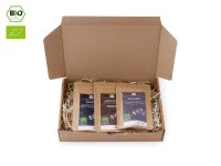 Grüner Tee Test-Set ROASTED Grüner Tee Test-Set ROASTED -Einrichtungsgeschäft gruener tee test set roasted3