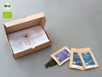 Grüner Tee Test-Set SENCHA Grüner Tee Test-Set SENCHA -Einrichtungsgeschäft gruener tee test set sencha7