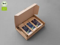 Grüner Tee Test-Set SUPER-PREMIUM Grüner Tee Test-Set SUPER-PREMIUM -Einrichtungsgeschäft gruener tee test set super premium8