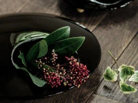 Ikebana-Vase Mammals L, schwarz Ikebana-Vase Mammals L, Schwarz -Einrichtungsgeschäft ikebana vase mammals l schwarz3