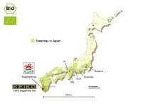 KEIKO Kabusecha Soshun, 50 g Frischebeutel KEIKO Kabusecha Soshun, 50 G Frischebeutel -Einrichtungsgeschäft keiko kabusecha soshun 50 g frischebeutel6