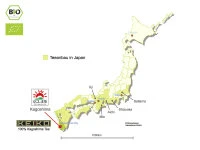 KEIKO Matcha Premium, Dose, 30 g KEIKO Matcha Premium, Dose, 30 G -Einrichtungsgeschäft keiko matcha premium dose 30 g4