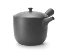 Kyusu Tokoname Chanoma M, 360 Ml -Einrichtungsgeschäft kyusu tokoname chanoma m 360 ml 1