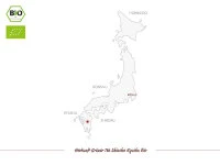 Shincha Kyushu Bio, First Flush, 50 g Shincha Kyushu Bio, First Flush, 50 G -Einrichtungsgeschäft shincha kyushu bio first flush 50 g4