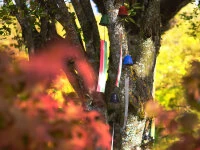 Windspiel, Furin Hamon Blau Windspiel, Furin Hamon Blau -Einrichtungsgeschäft windspiel furin hamon blau6